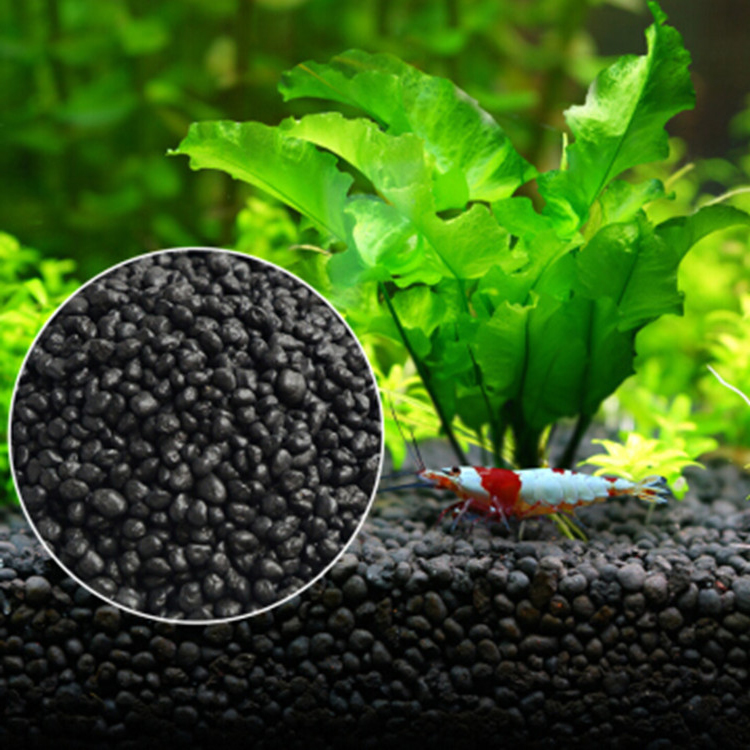Aquarium Fish Breeding - Acquario semi di piante terreno acquario