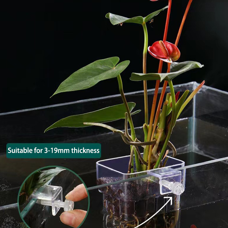 Aquarium Fish Breeding - Multifunzionale Fish Aquarium Water Grass Planting
