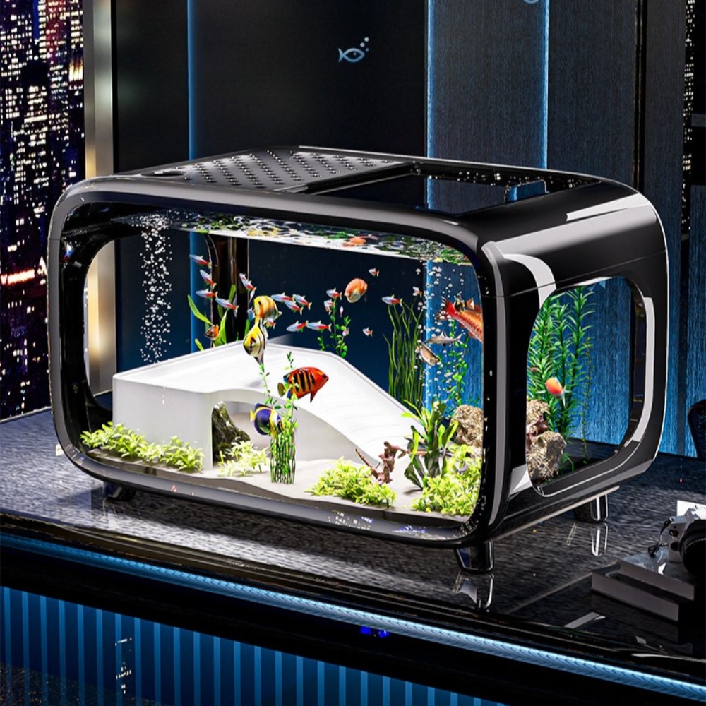 Live Fish Aquarium - Acquario di lusso trasparente Decorazione durevole