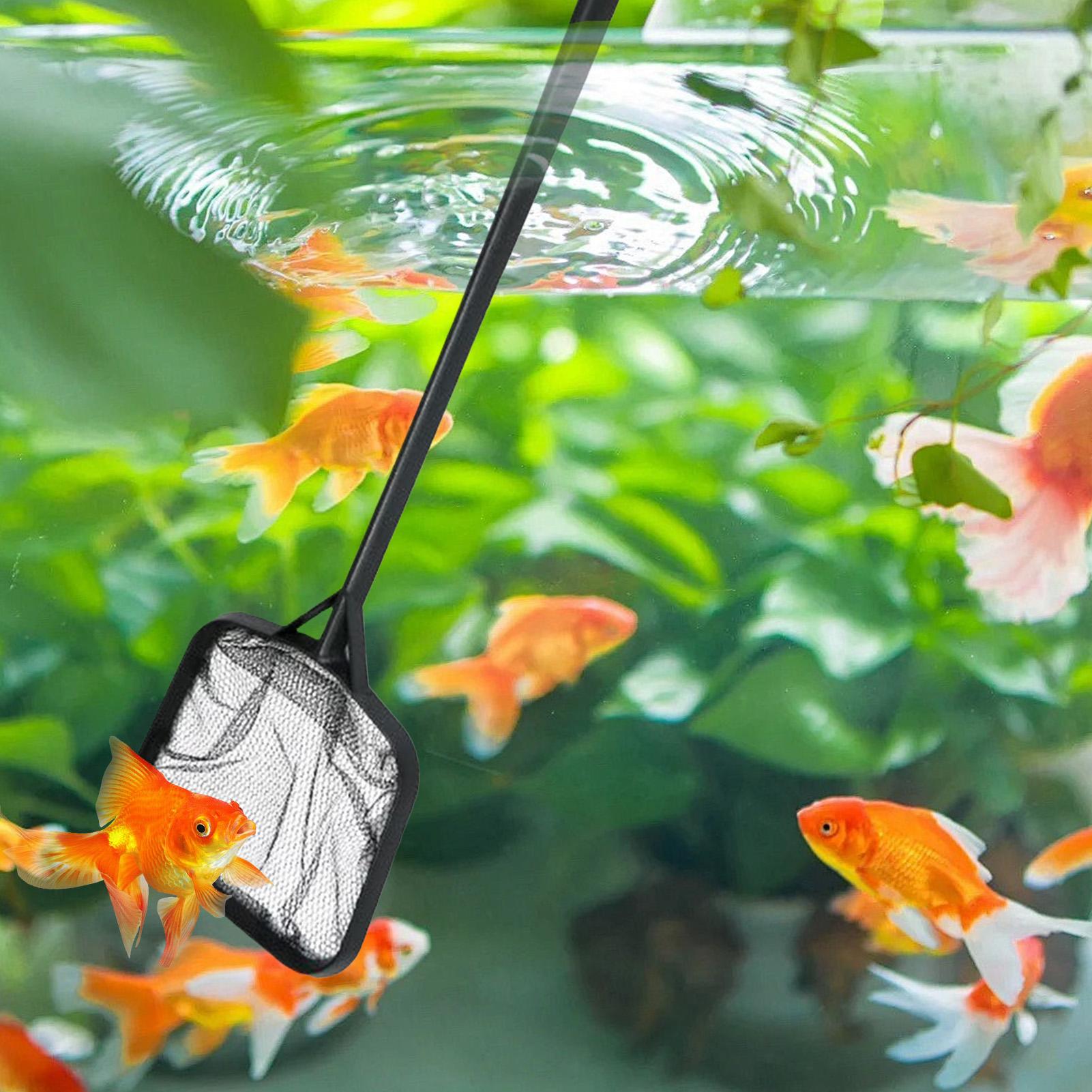 Reti per la Pulizia della Pisc - Aquarium Fish Breeding recensione e prezzo