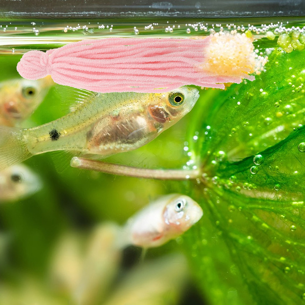 8 Pezzi di Spugne per la Ripro - Aquarium Fish Breeding recensione e prezzo
