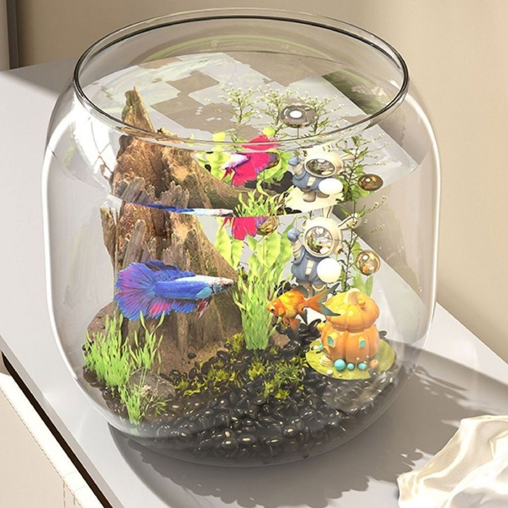 Acquario Trasparente Rotondo A - Live Fish Aquarium recensione e prezzo