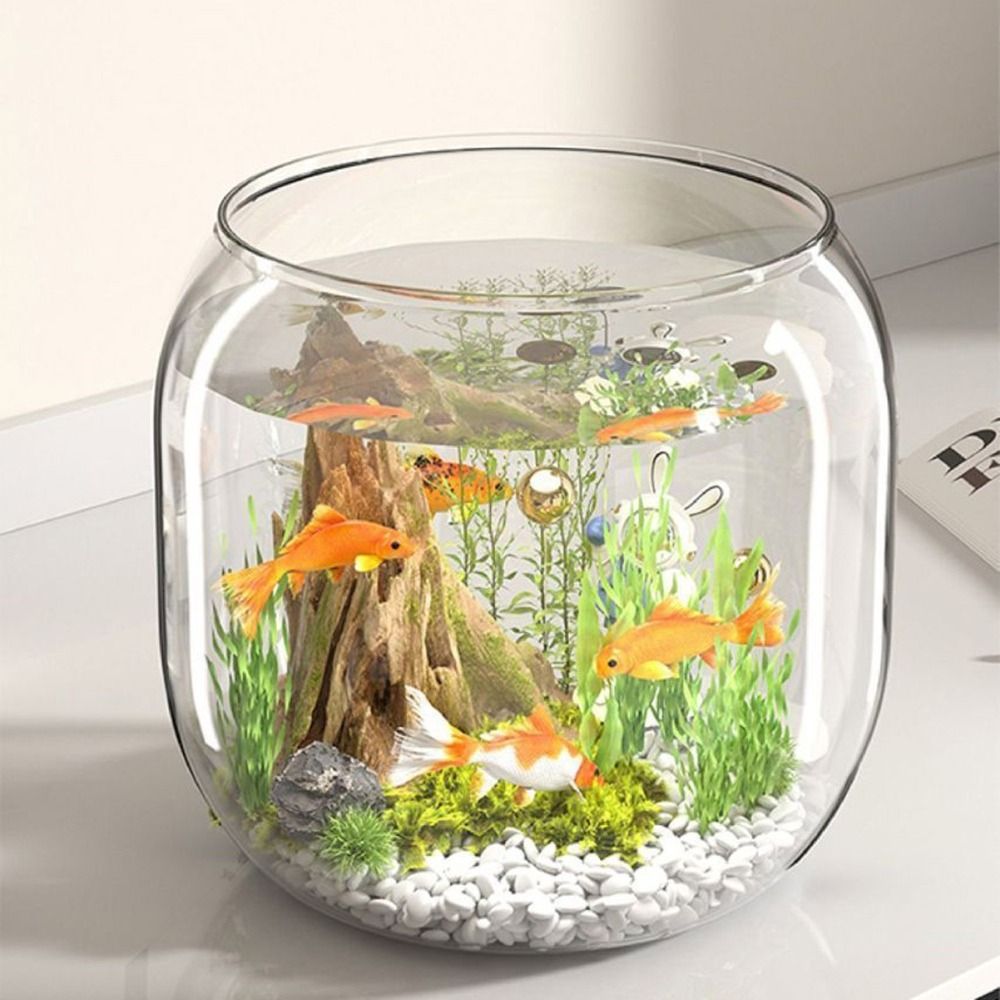 Acquario Trasparente Rotondo A - Live Fish Aquarium recensione e prezzo