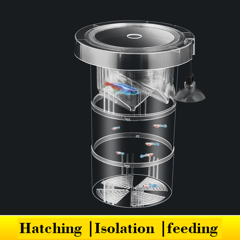 Scatola di isolamento per alle - Aquarium Fish Breeding recensione e prezzo