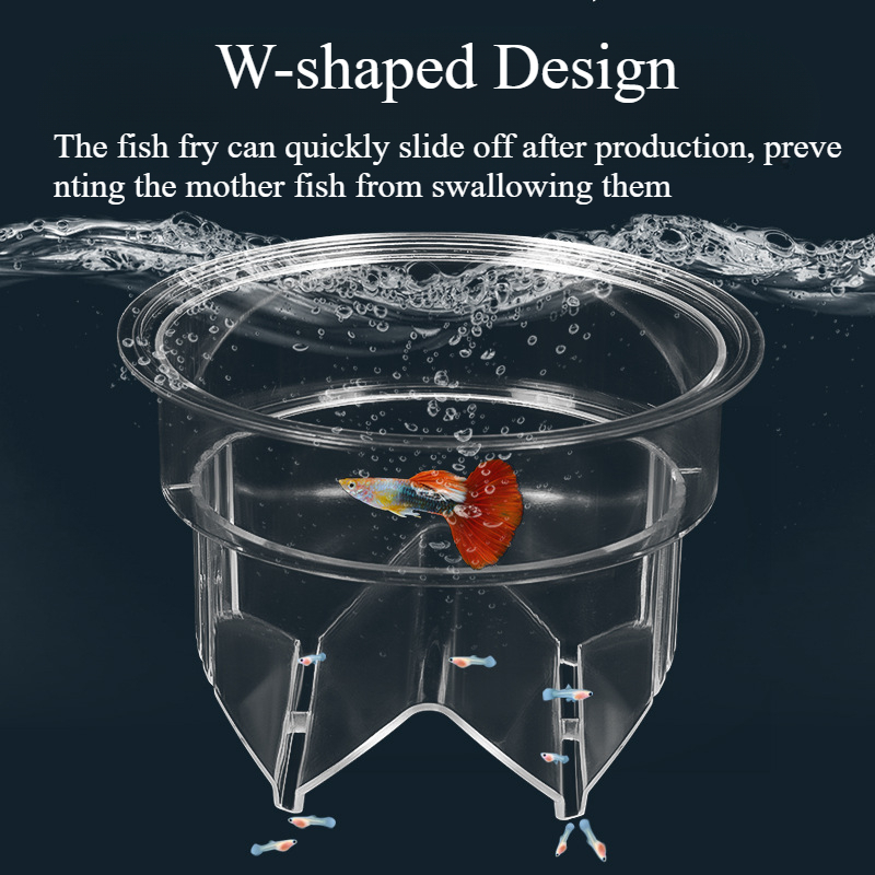 Scatola di isolamento per alle - Aquarium Fish Breeding recensione e prezzo