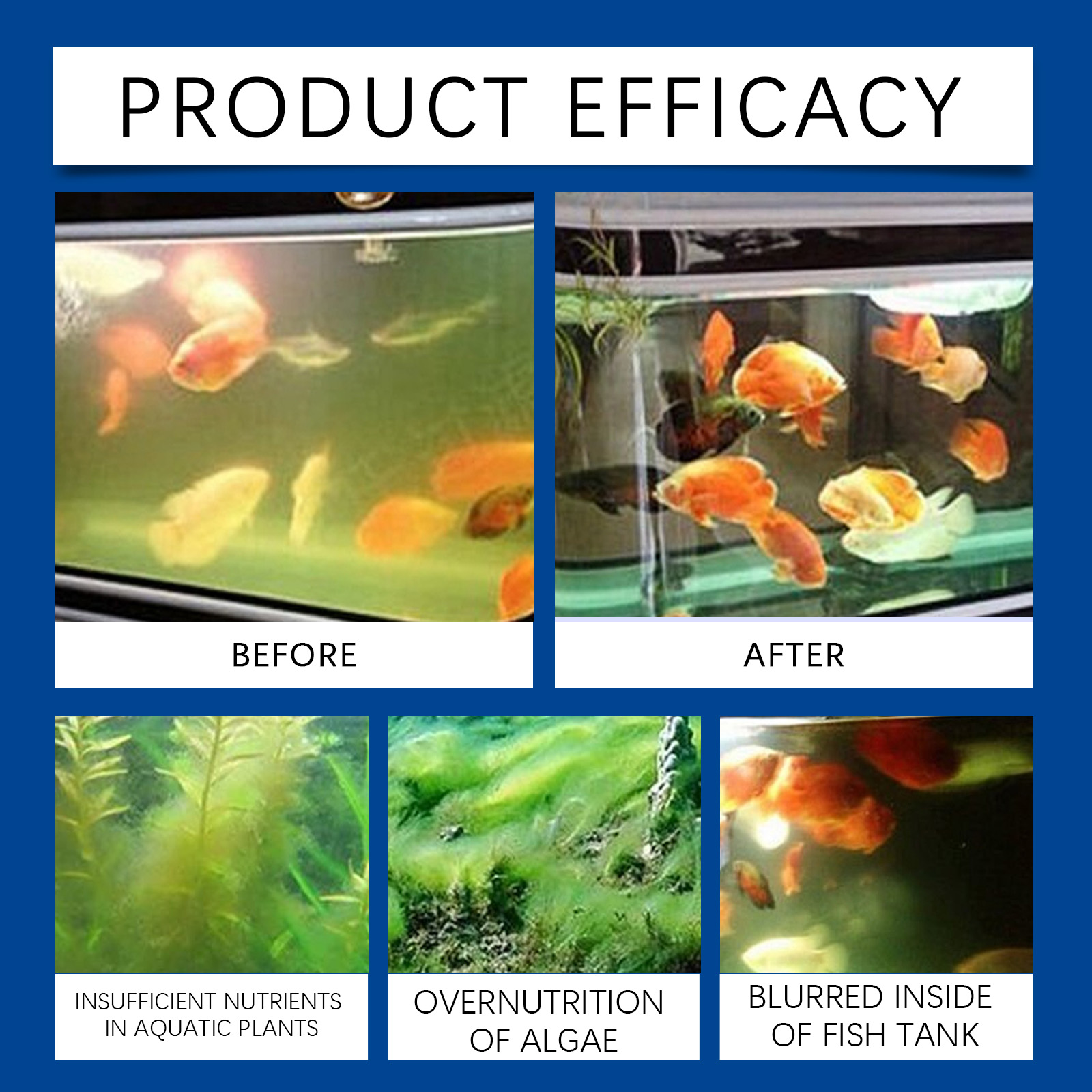 Chiarificatore d'acqua per acq - Aquarium Fish Breeding recensione e prezzo