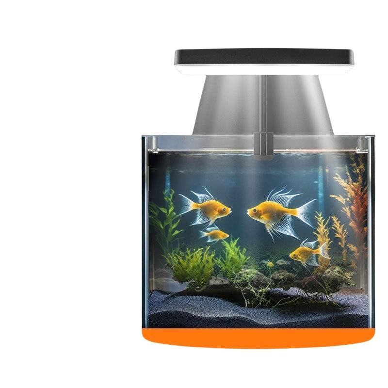 Lampada LED USB per Acquario c - Aquarium Fish Usa recensione e prezzo