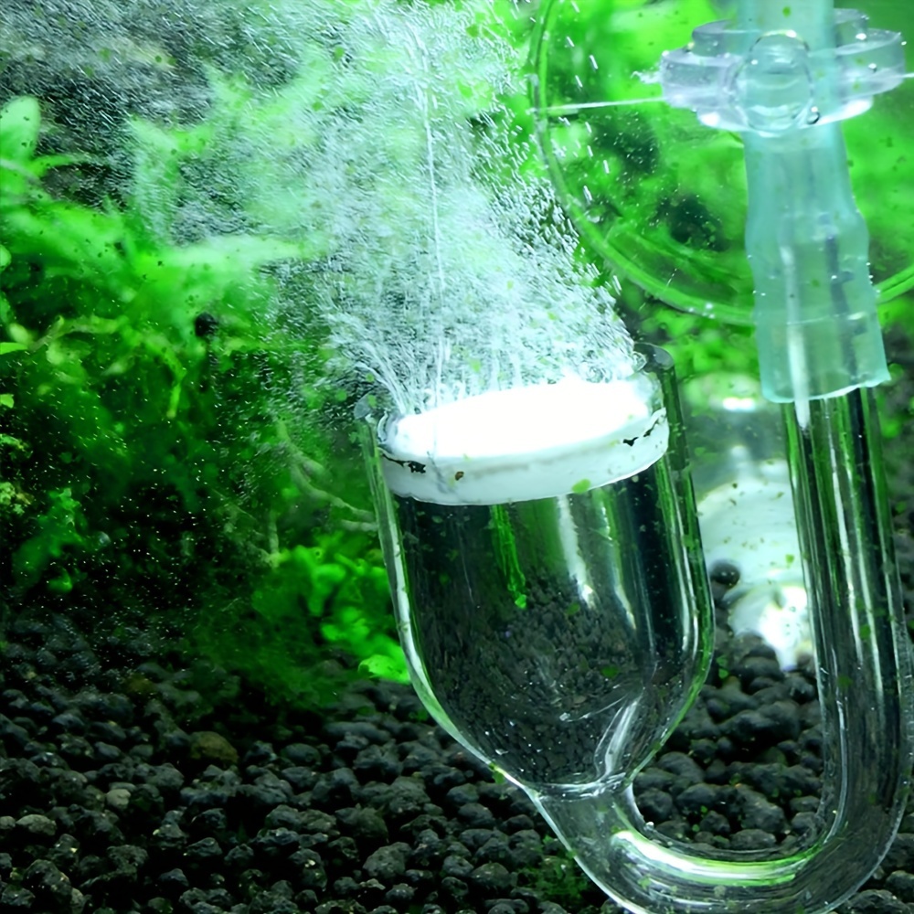 Acquario Vetro CO2 Atomizzator - Aquarium Fish Quarantine recensione e prezzo