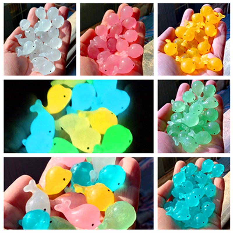 20 pezzi di pietre luminose di - Aquarium Fish Dolphin recensione e prezzo