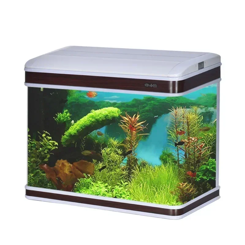 Fornitore professionale per ac - Aquarium Fish Supplier recensione e prezzo
