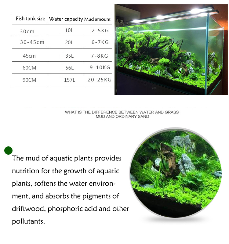 Acquario semi di piante terren - Aquarium Fish Breeding recensione e prezzo