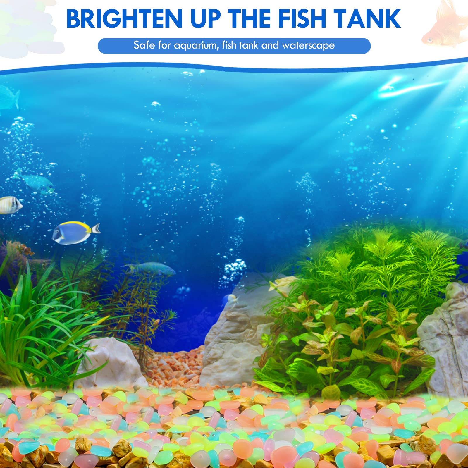 100 pezzi che si illuminano al - Aquarium Fish Breeding recensione e prezzo