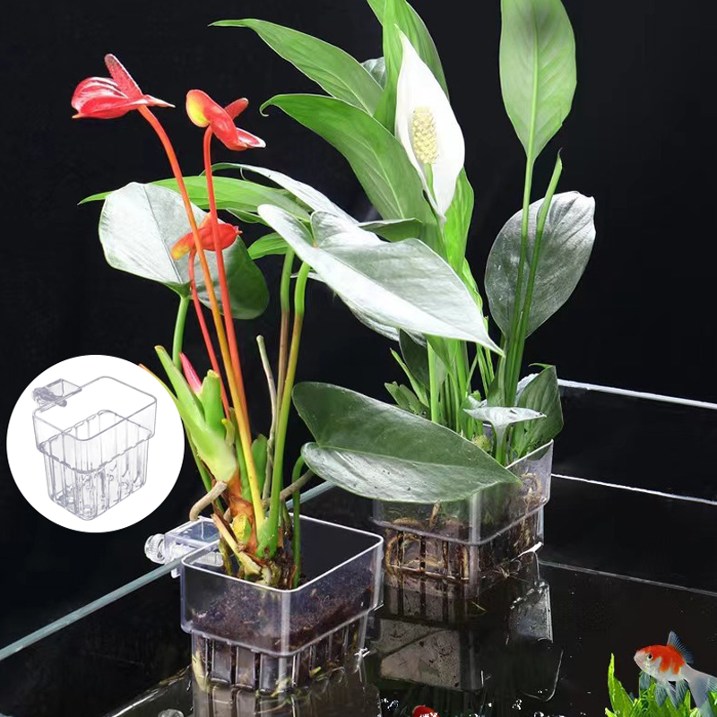 Multifunzionale Fish Aquarium  - Aquarium Fish Breeding recensione e prezzo
