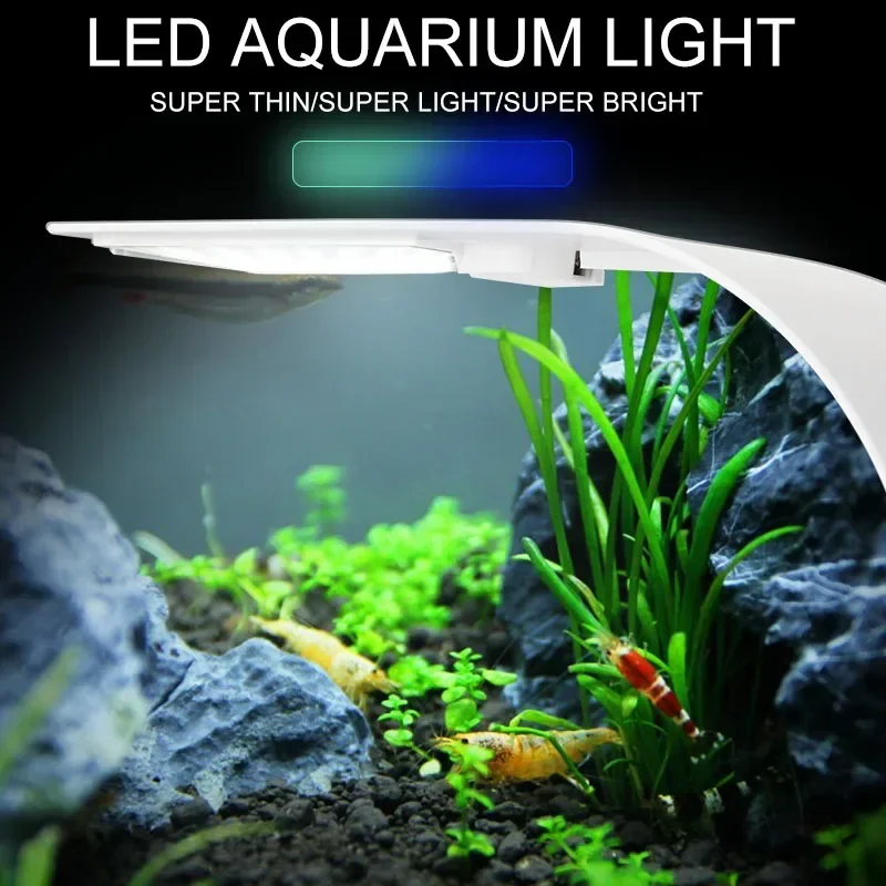 Lampada per acquario a LED ult - Aquarium Fish Quarantine recensione e prezzo