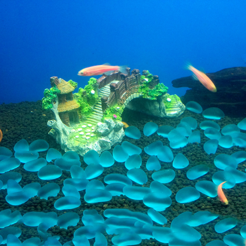 Accessori per acquari Albero p - Aquarium Fish Quarantine recensione e prezzo