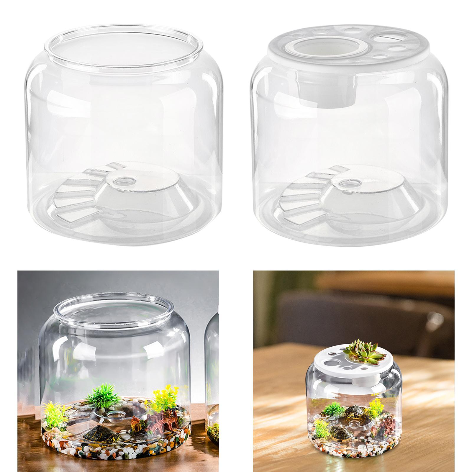 Acquario per tartarughe da tav - Draw Fish Aquarium recensione e prezzo