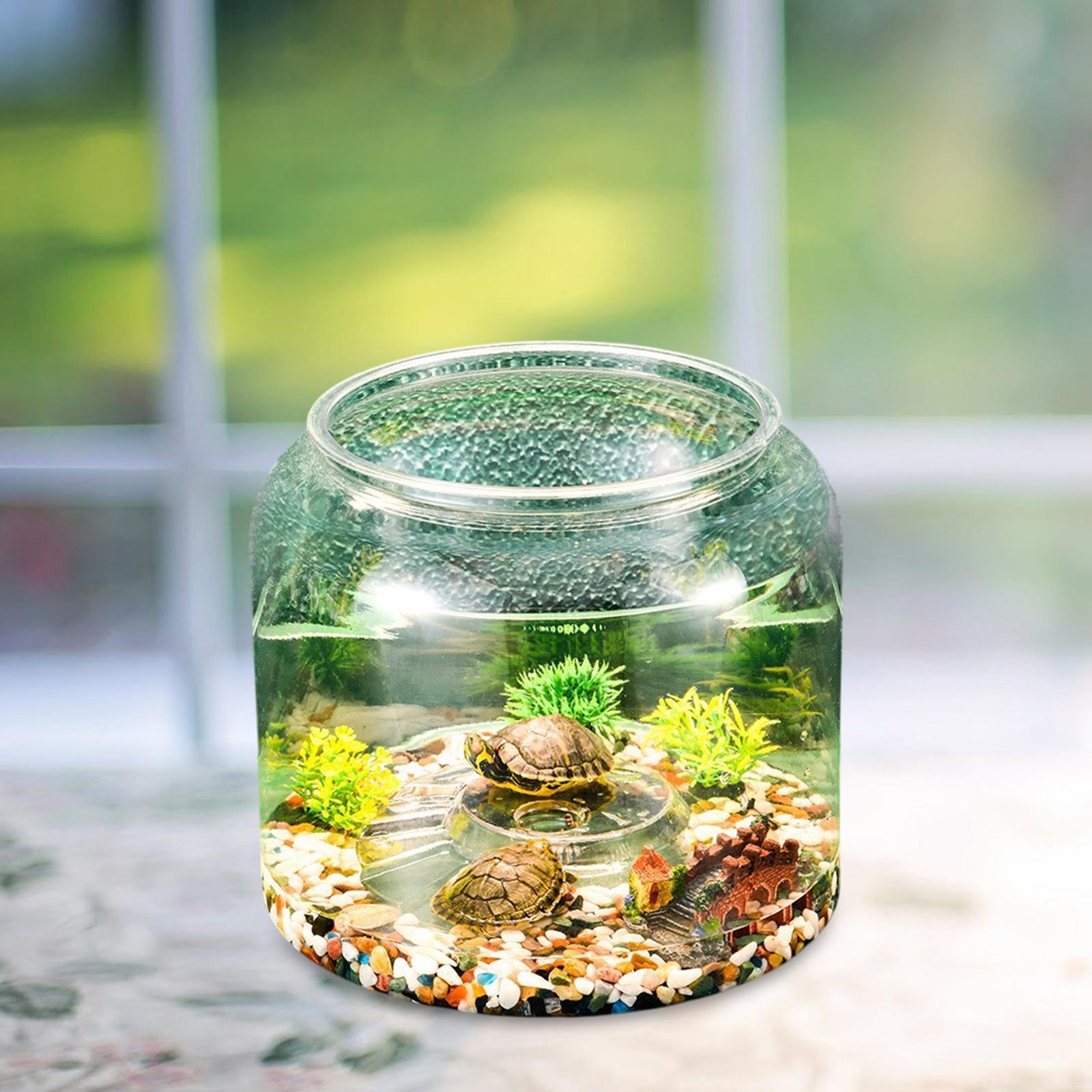 Acquario per tartarughe da tav - Draw Fish Aquarium recensione e prezzo