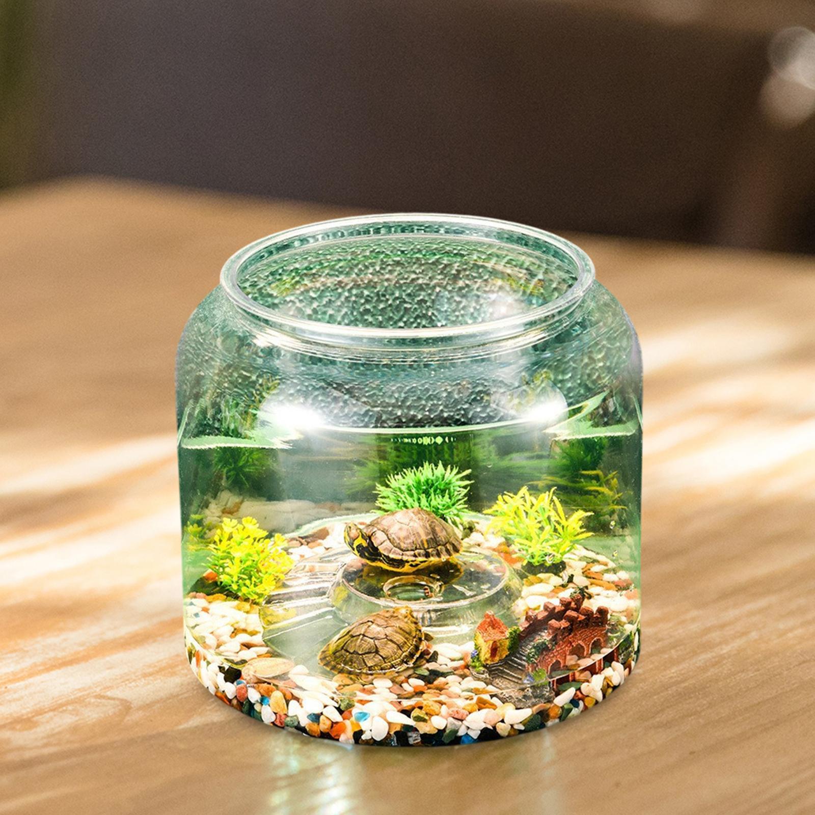 Acquario per tartarughe da tav - Draw Fish Aquarium recensione e prezzo