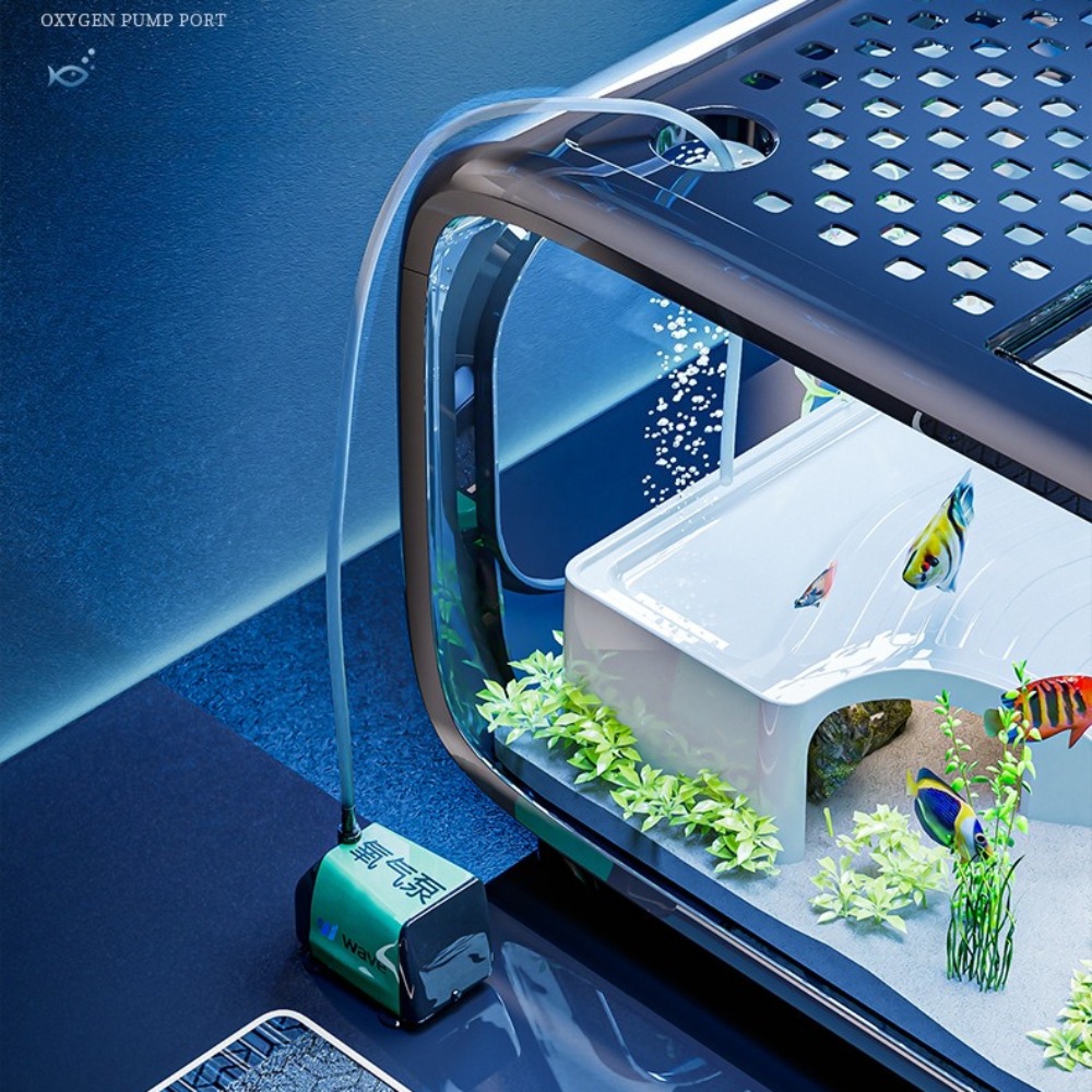 Acquario di lusso trasparente  - Live Fish Aquarium recensione e prezzo