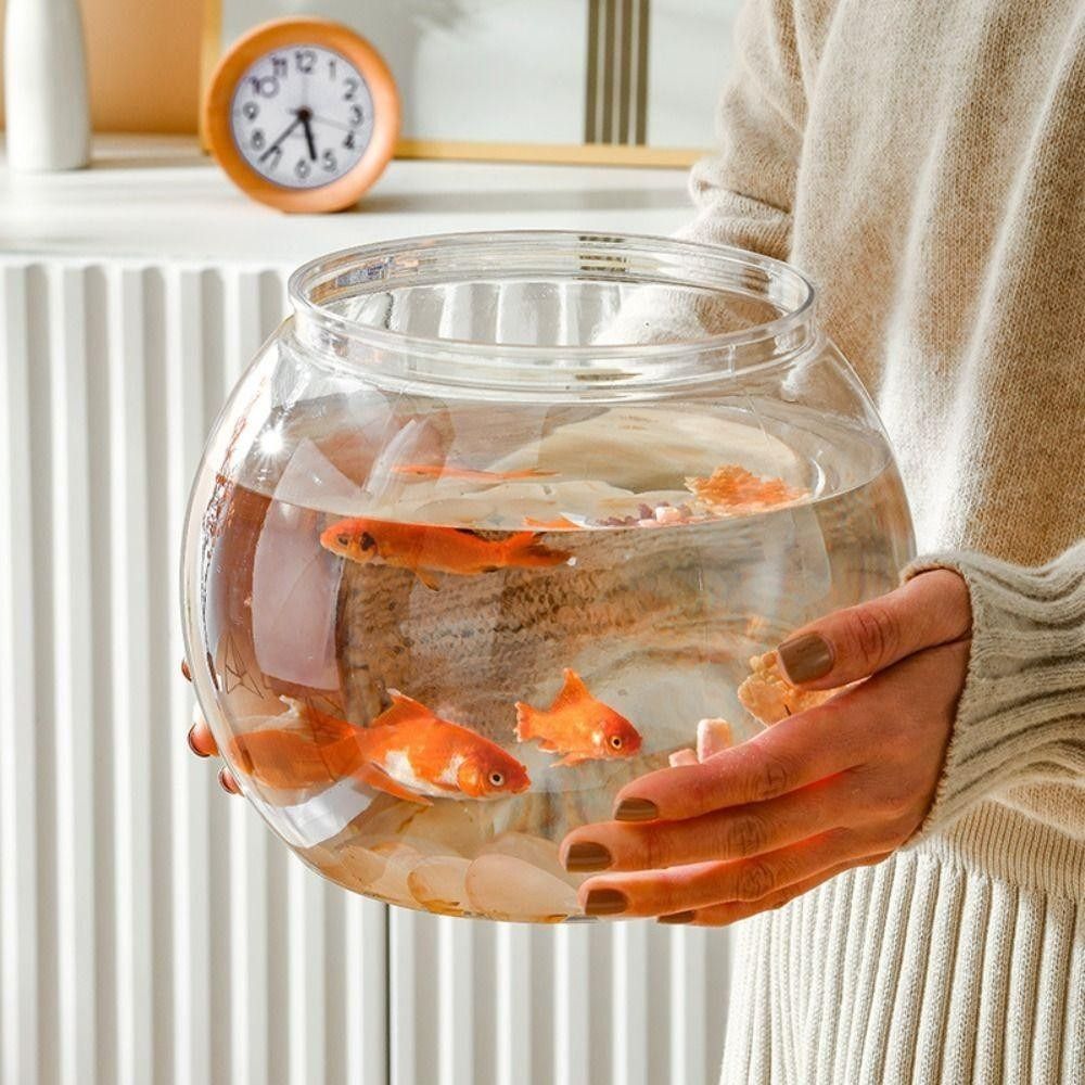 Nuovo acquario trasparente rot - Live Fish Aquarium recensione e prezzo