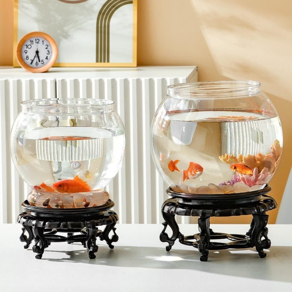 Nuovo acquario trasparente rot - Live Fish Aquarium recensione e prezzo