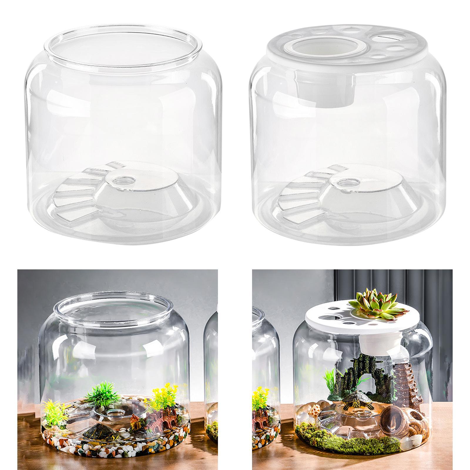 Acquario per Tartarughe di Gra - Draw Fish Aquarium recensione e prezzo